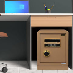 NW-33 (Digital Security Locker)