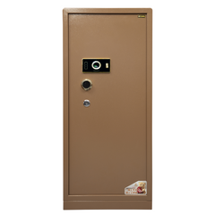 NW-140 Golden Thumb (Digital Security Locker)