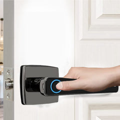 LK-101 (Smart Door Lock) with Fingerprint